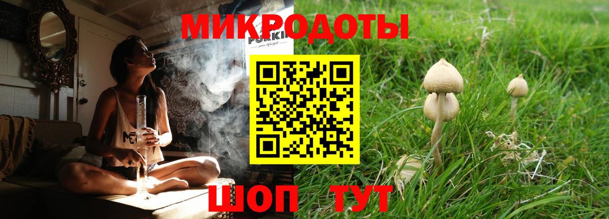 Полысаево  Галлюциногенные грибы Psilocybine cubensis  наркотики  Псилоцибиновые грибы Psilocybine cubensis  Вход с VPN 